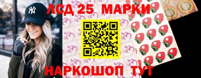мяу мяу мука Нальчик