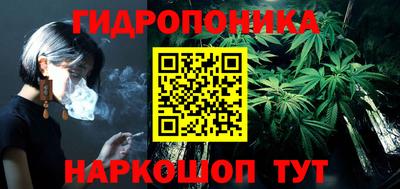 мяу мяу мука Нальчик